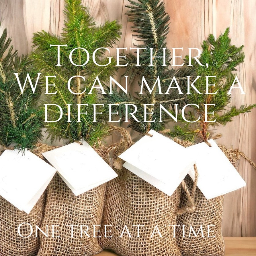 Together, we can make a difference, one tree at a time.